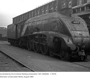 CRA0469