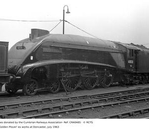 CRA0485