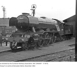 CRA0497