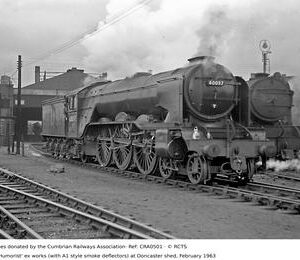 CRA0501