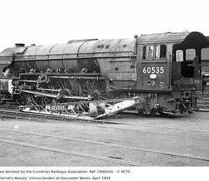 CRA0541