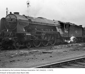 CRA0553