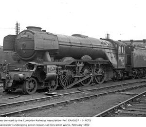 CRA0557