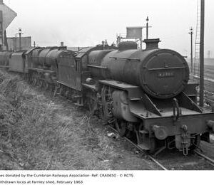 CRA0650
