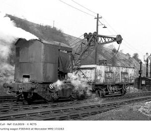 CUL0029
