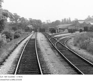 CUL0082