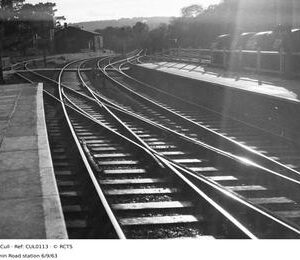 CUL0113