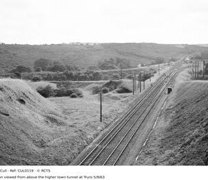 CUL0119