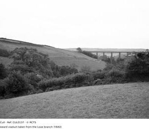 CUL0137