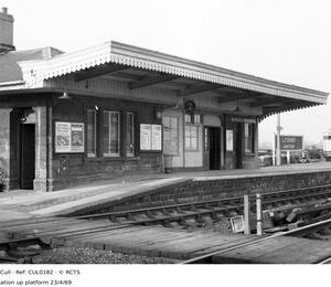 CUL0182