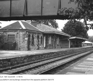 CUL0194