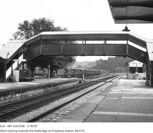CUL0196
