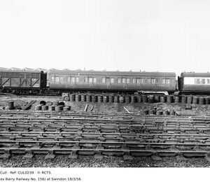 CUL0239