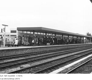 CUL0269