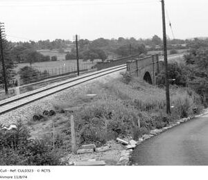 CUL0323