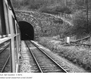 CUL0353