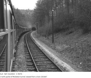 CUL0354