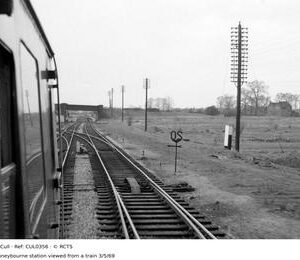 CUL0356