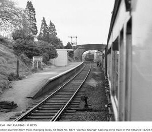 CUL0360
