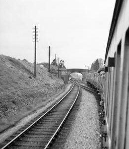 CUL0364VF