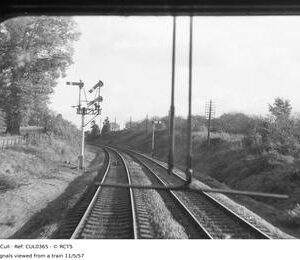CUL0365