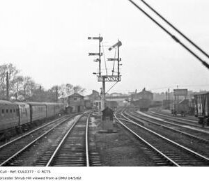 CUL0377