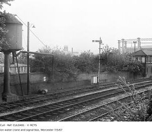 CUL0481