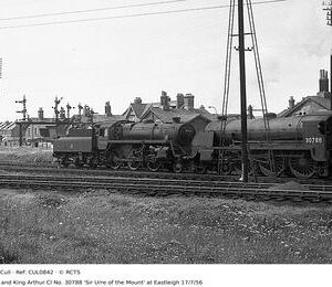 CUL0842