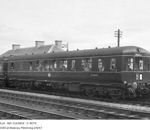 CUL0919