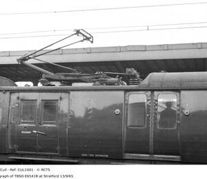 CUL1001
