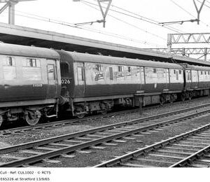 CUL1002