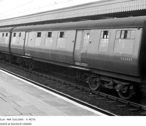 CUL1005