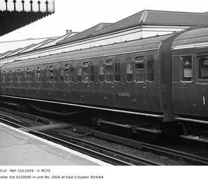 CUL1019