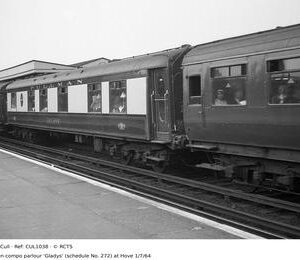 CUL1038