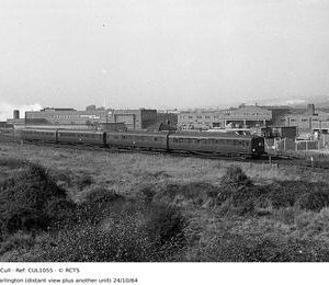 CUL1055