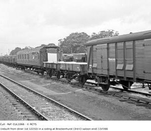 CUL1066
