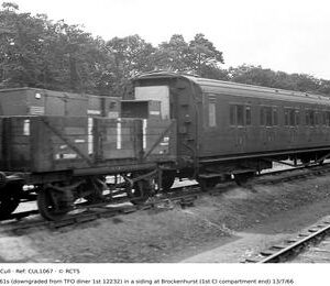 CUL1067