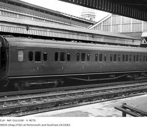 CUL1100