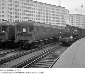 CUL1101