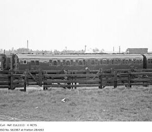 CUL1113