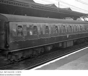 CUL1119