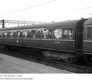 CUL1129