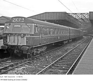 CUL1131