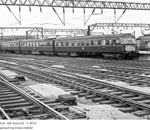 CUL1132