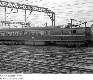 CUL1133