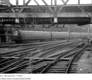 CUL1135