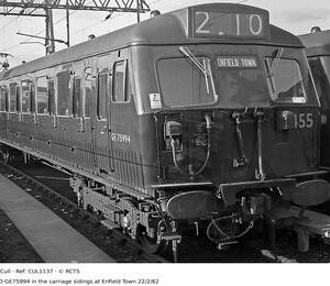 CUL1137
