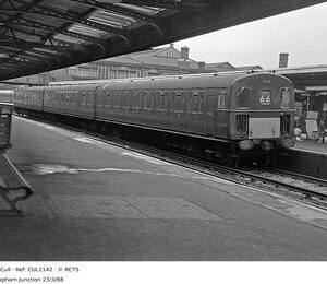 CUL1142