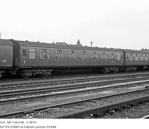 CUL1146