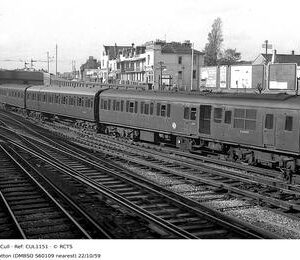CUL1151